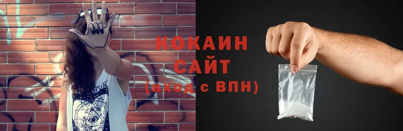 Кокаин Fish Scale  купить наркотики сайты  сайты даркнета Telegram  Алзамай 